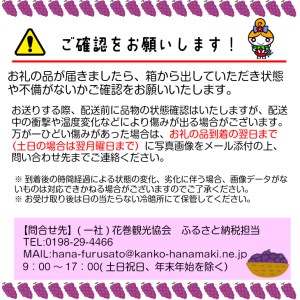 岩手県花巻市のふるさと納税シャインマスカット（寄附金額30,000円）