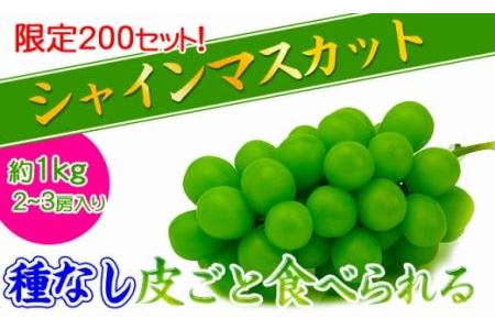 香川県のふるさと納税シャインマスカット