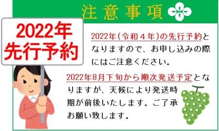 山梨県のふるさと納税シャインマスカット