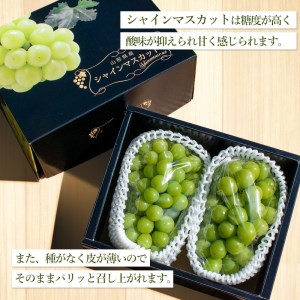 山形県鶴岡市のふるさと納税シャインマスカット（寄附金額10,000円）