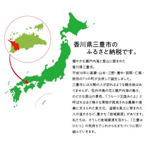 香川県三豊市のふるさと納税シャインマスカット（寄附金額23,000円）