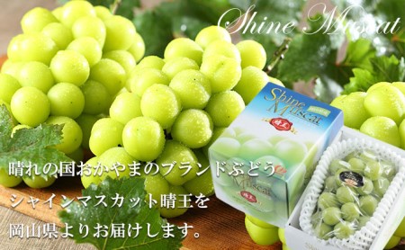 岡山県玉野市のふるさと納税シャインマスカット（寄附金額9,000円）