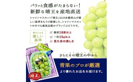 岡山県瀬戸内市のふるさと納税シャインマスカット（寄附金額27,000円）