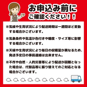 山形県寒河江市のふるさと納税シャインマスカット