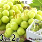 岡山県玉野市のふるさと納税シャインマスカット（寄附金額13,000円）
