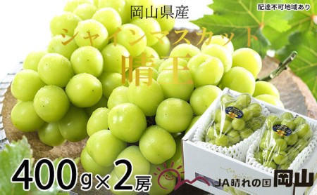岡山県玉野市のふるさと納税シャインマスカット（寄附金額13,000円）