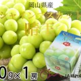 岡山県玉野市のふるさと納税シャインマスカット（寄附金額13,000円）