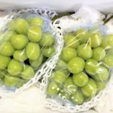 山形県上山市のふるさと納税シャインマスカット（寄附金額15,000円）