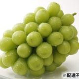 岡山県赤磐市のふるさと納税シャインマスカット（寄附金額20,000円）