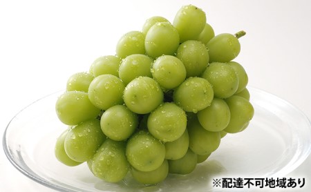 岡山県赤磐市のふるさと納税シャインマスカット（寄附金額15,000円）