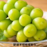 岡山県玉野市のふるさと納税シャインマスカット（寄附金額40,000円）
