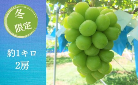 長野県坂城町のふるさと納税シャインマスカット（寄附金額18,000円）