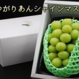 青森県西目屋村のふるさと納税シャインマスカット（寄附金額16,000円）