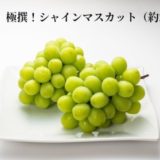 香川県三豊市のふるさと納税シャインマスカット（寄附金額17,000円）