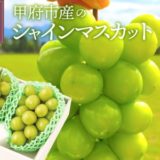 山梨県甲府市のふるさと納税シャインマスカット（寄附金額10,000円）