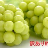 長野県坂城町のふるさと納税シャインマスカット（寄附金額10,000円）