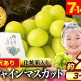 岡山県矢掛町のふるさと納税シャインマスカット（寄附金額18,000円）