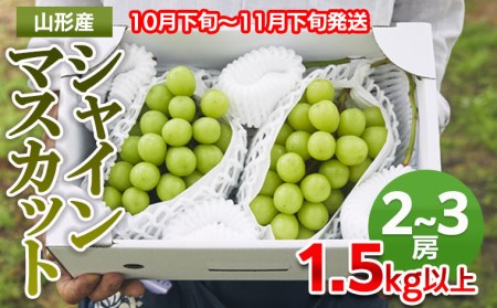 山形県山形市のふるさと納税シャインマスカット（寄附金額20,000円）