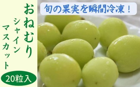 岡山県新見市のふるさと納税シャインマスカット（寄附金額15,000円）