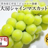 青森県五所川原市のふるさと納税シャインマスカット（寄附金額17,000円）