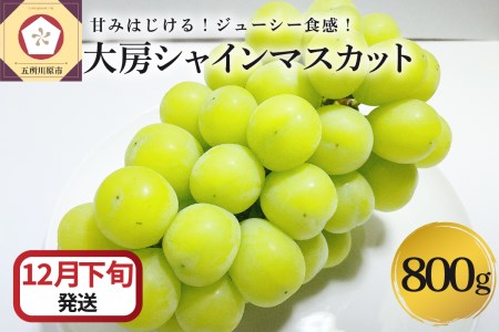 青森県五所川原市のふるさと納税シャインマスカット（寄附金額17,000円）