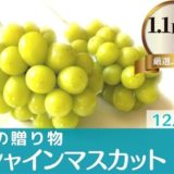 長野県坂城町のふるさと納税シャインマスカット（寄附金額18,000円）