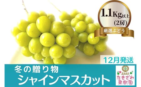 長野県坂城町のふるさと納税シャインマスカット（寄附金額18,000円）