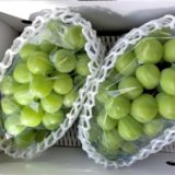 山形県上山市のふるさと納税シャインマスカット（寄附金額20,000円）
