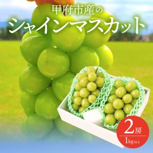 山梨県甲府市のふるさと納税シャインマスカット（寄附金額10,000円）