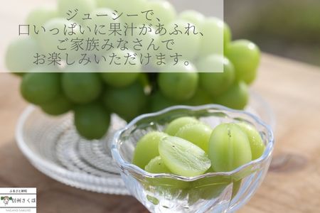 長野県佐久穂町のふるさと納税シャインマスカット（寄附金額14,000円）