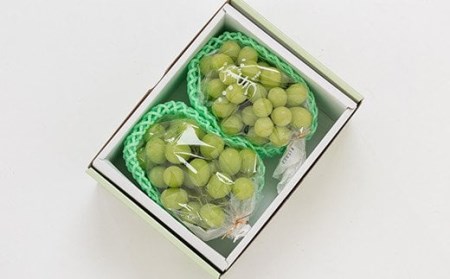 山形県米沢市のふるさと納税シャインマスカット（寄附金額35,000円）