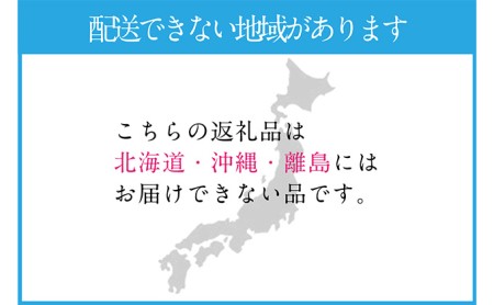 岡山県浅口市のふるさと納税シャインマスカット（寄附金額26,000円）