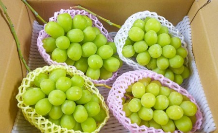 長野県中野市のふるさと納税シャインマスカット（寄附金額27,000円）