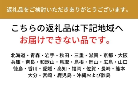 長野県坂城町のふるさと納税シャインマスカット（寄附金額10,000円）