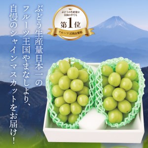 山梨県甲府市のふるさと納税シャインマスカット（寄附金額10,000円）
