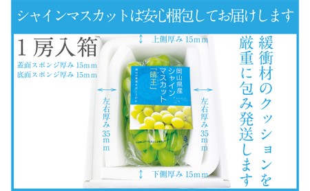 岡山県浅口市のふるさと納税シャインマスカット（寄附金額20,000円）