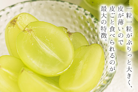岡山県矢掛町のふるさと納税シャインマスカット（寄附金額18,000円）