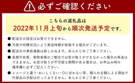 長野県中野市のふるさと納税シャインマスカット（寄附金額27,000円）