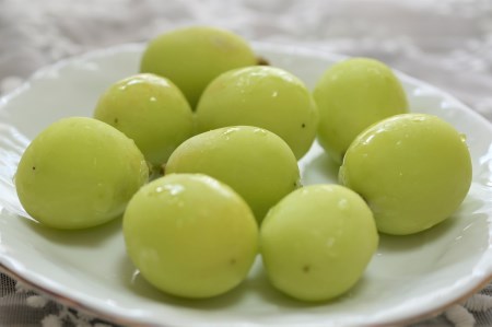 岡山県新見市のふるさと納税シャインマスカット（寄附金額15,000円）