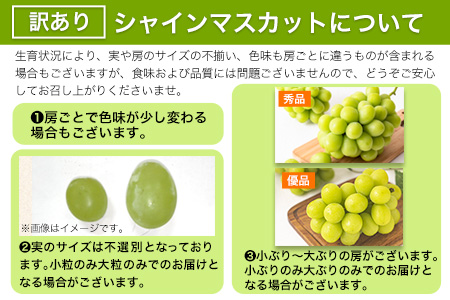 岡山県矢掛町のふるさと納税シャインマスカット（寄附金額18,000円）