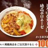 【松屋】「チーズボロネーゼコンボ牛めし」