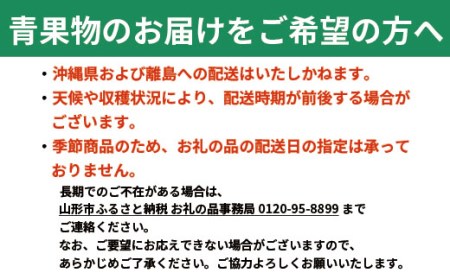 山形県山形市のふるさと納税シャインマスカット（寄附金額20,000円）