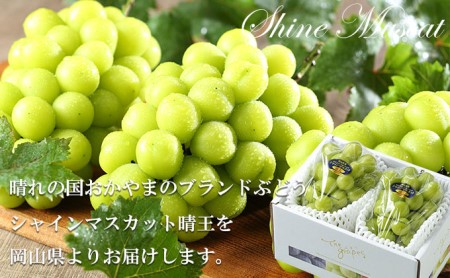 岡山県玉野市のふるさと納税シャインマスカット（寄附金額13,000円）