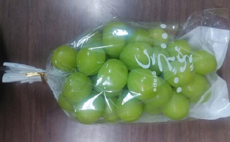 長野県坂城町のふるさと納税シャインマスカット（寄附金額18,000円）