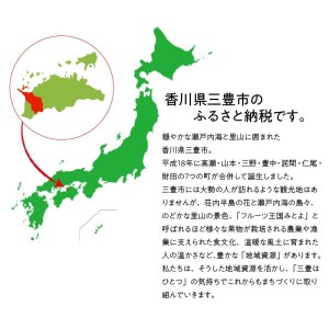 香川県三豊市のふるさと納税シャインマスカット（寄附金額17,000円）