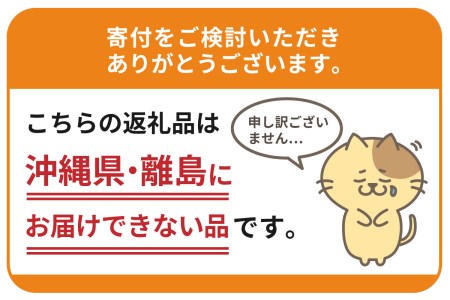 青森県五所川原市のふるさと納税シャインマスカット（寄附金額17,000円）