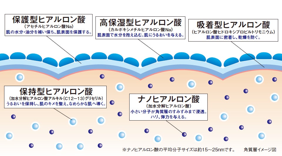 中島香里 チェンジスティック状美容液「Dトリートメント」