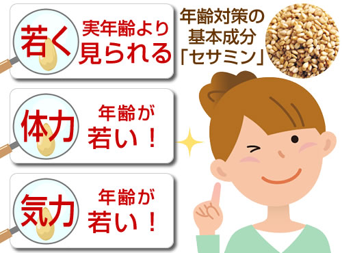 サントリーのセサミン配合サプリ