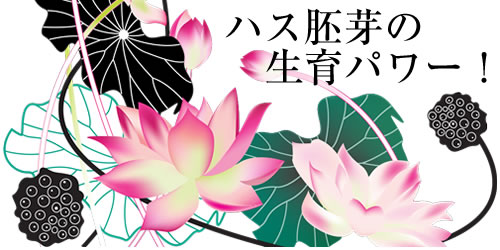 サントリー「コラーゲン プルミエール」