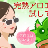 完熟アロエお試し